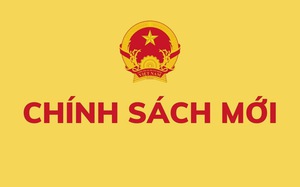 Chế độ chính sách mới đối với công chức tự nguyện xin thôi việc theo Nghị định 170/2025