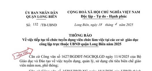 Hà Nội tiếp tục tuyển dụng viên chức giáo dục năm 2025 tại một số địa phương