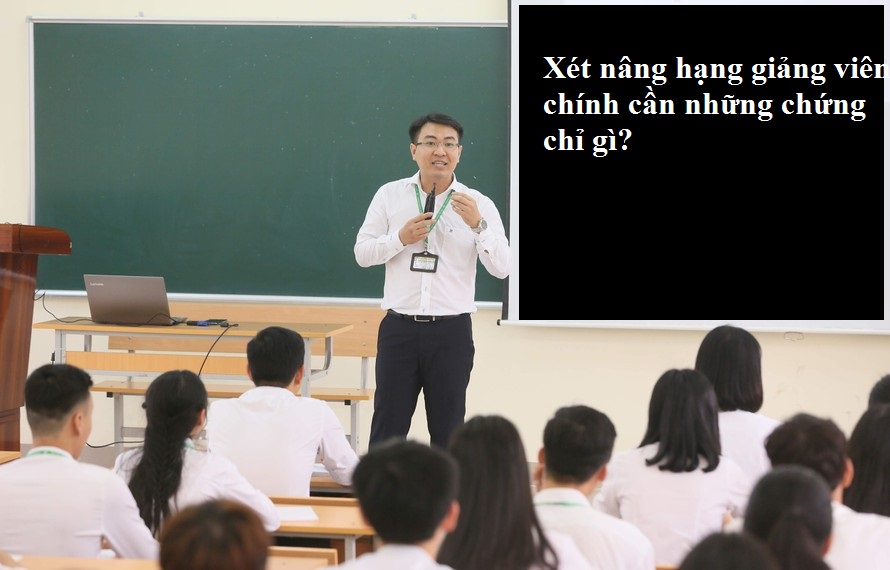 Xét nâng ngạch Giảng viên chính cần chứng chỉ gì? Giảng viên chính hạng II phải đáp ứng những tiêu chuẩn như thế nào về trình độ đào tạo và năng lực chuyên môn?